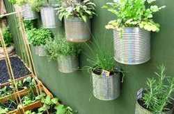 Guidelines for setting up a terrace garden at your home