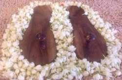 Guru- The Awakening and Fulfillment of Life