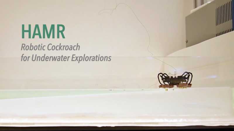 HAMR - A Robotic Super Cockroach That Can Walk On Water Created By Harvard University