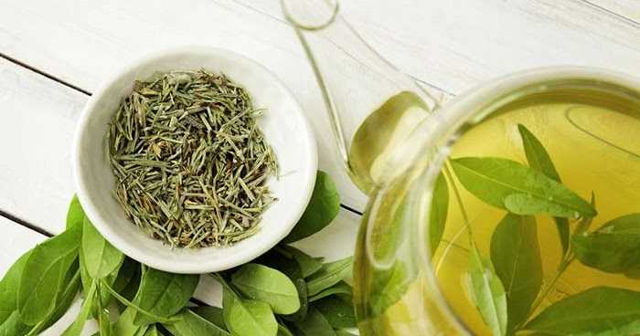 Hair Growth- 9 Powerful Sense Paradise Homemade Tips & Remedies For Hair Growth|Senseparadise|Lifestyleblog