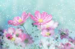 Happiness is in This Very Moment