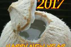 Happy New Year 2017 Messages for Facebook Friends