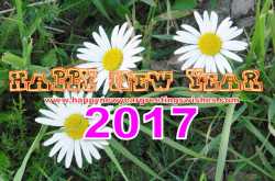 Happy New Year 2017 Quotes for Whatsapp friends