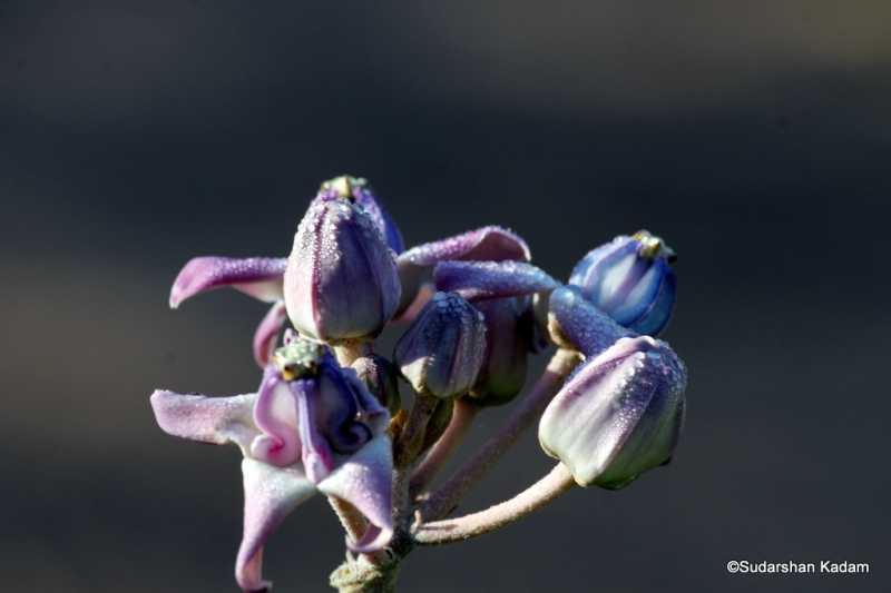 Happy World Photography Day