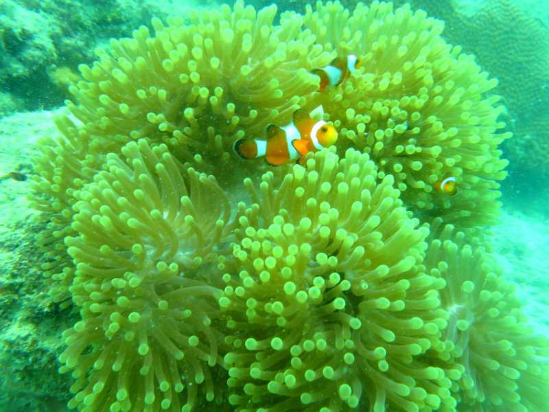 Havelock Diaries - Part 2