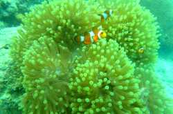 Havelock Diaries - Part 2