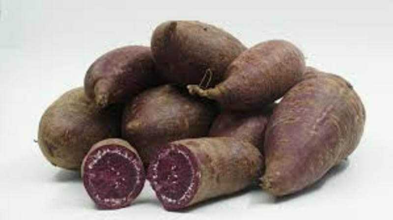 Health Benefits Of Murasaki Sweet Potato