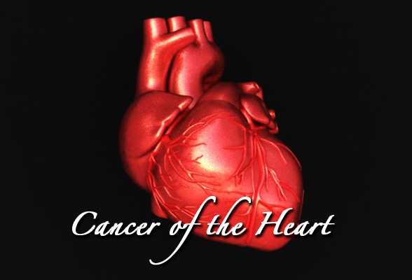Heart Cancer - A Deadly Problem & Its Treatment Alternatives