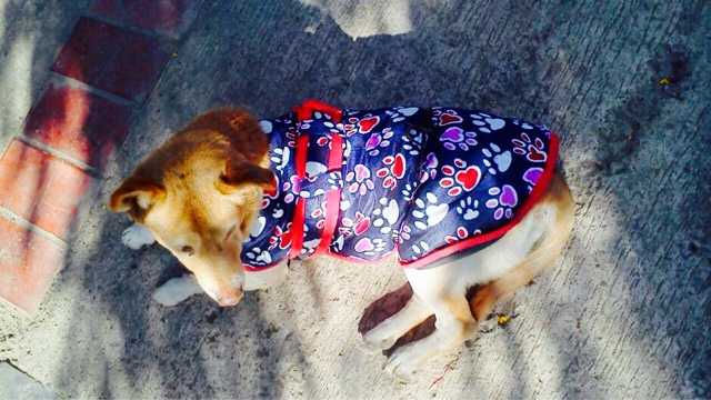 Help Always Comes To Those Who Seek It