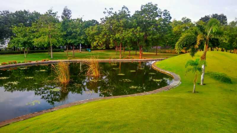 Hockey Pockey, Plain Talk, Double Talk, मधुलेखा, कांची....in हैदराबाद !