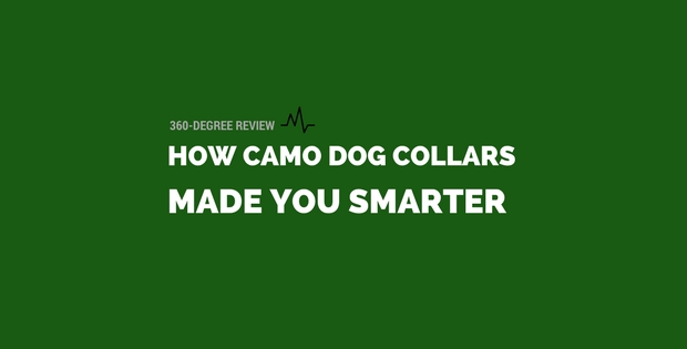 How Camo Dog Collars Can Made You Smarter