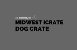How Midwest iCrate Double Door Dog Crate Could Make you Happy