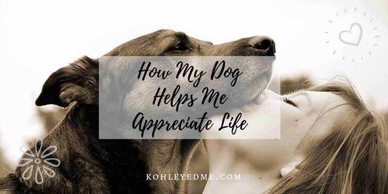 How My Dog Helps Me Appreciate Life | Kohl Eyed Me