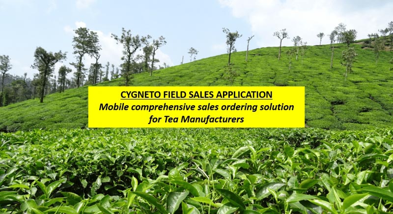How Sales Automation Tools Help Tea Manufacturer