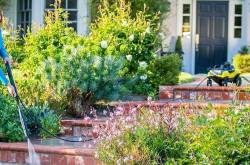 How to Clean Garden with Pressure Washer - ALL ABOUT GARDENING A-Z