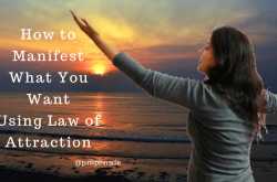 How to Manifest Anything Using The Law of Attraction - Pink Pinnacle - For The Professional, By The Professional