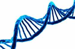 How to See DNA with the Naked Eye - Experiment - BioThix.com