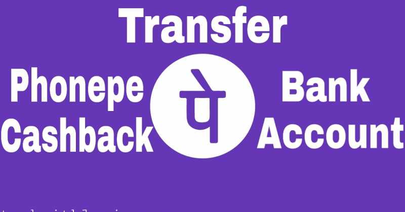 How To Transfer Phonepe Cashback To Bank Account ?