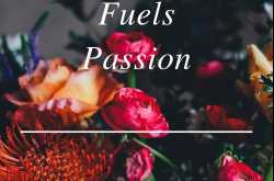 How to find your passion in the world filled with options? - Crimson April
