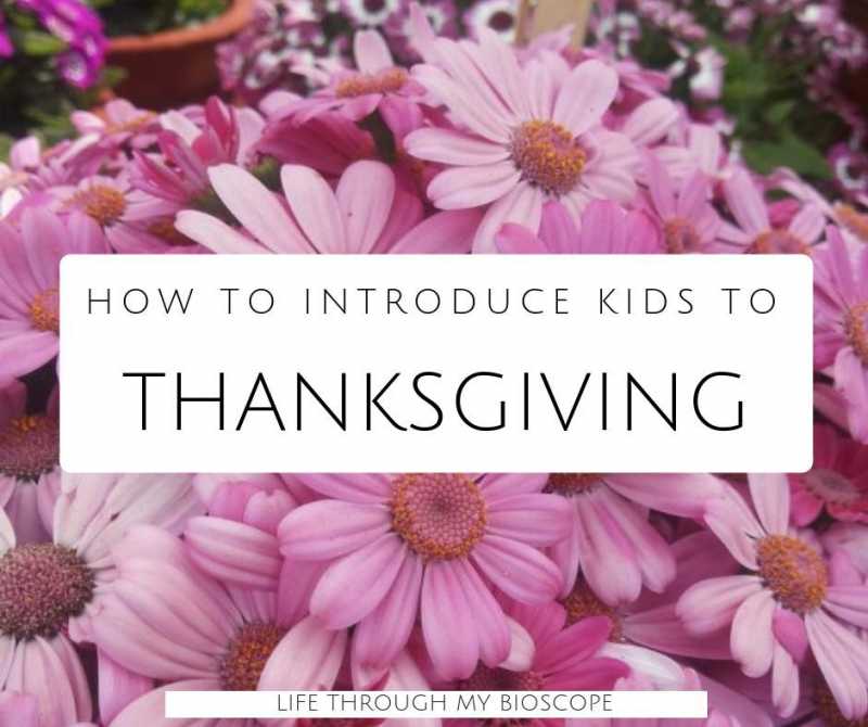 How To Introduce Kids To Thanksgiving Celebration? | Gratitude & Parenting