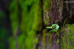 I am beautiful too ...