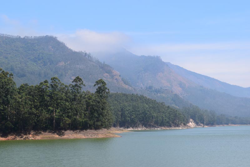 I Am Going To Change The World!