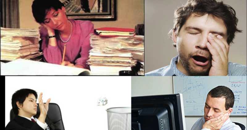 I Have Worked Myself Into A Frenzy Of Lethargy!