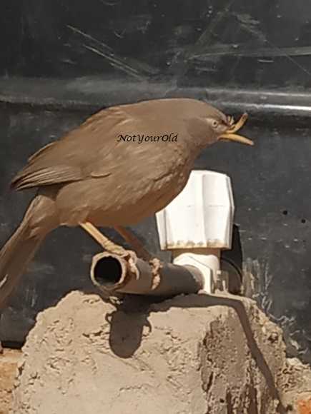 Imperfection Is Uniqueness