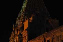 In Search of that Perfect Picture...