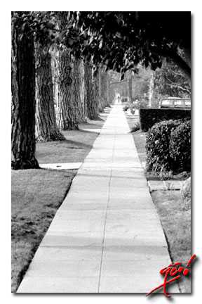 In Conversation With Us......