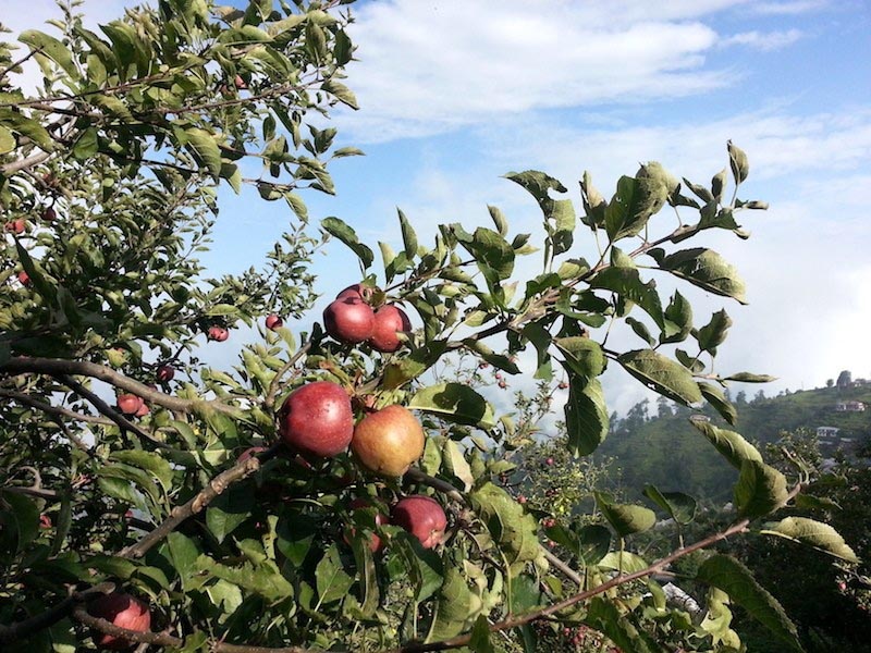 In Search Of Eden - Itchy Feet