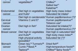 Indian Diet and Cancer Risk