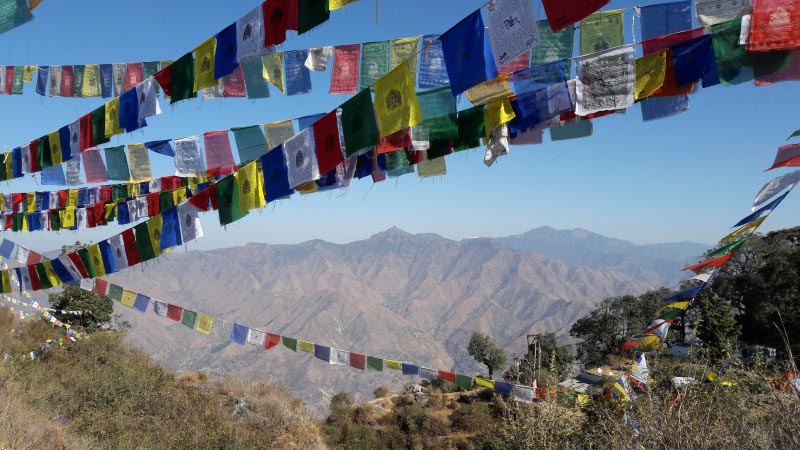 Indian Forest Service Exam Marksheet