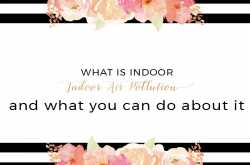 Indoor Pollution and what to do about it - The Jane And Samara Blog