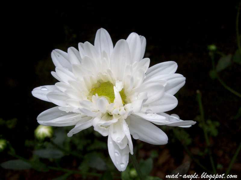 Is It Yours? And That Surely Is The Question