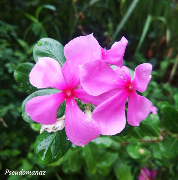 It’s A Rainy Day…