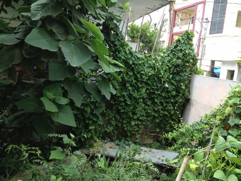 Item Off The Bucket List