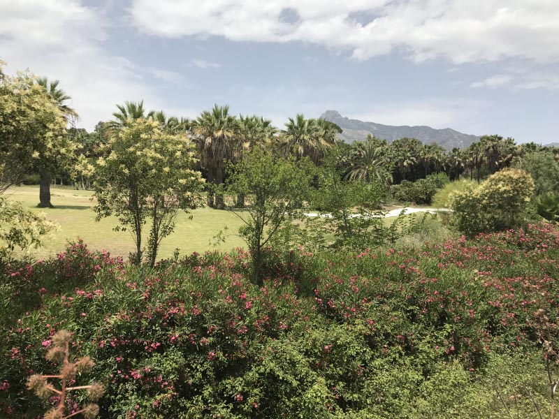 K For Kind - #AtoZChallenge | Transition Of Thoughts