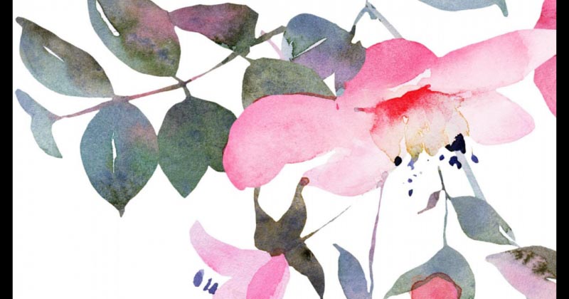 KISS Your Life With Book April Anecdotes - A Review