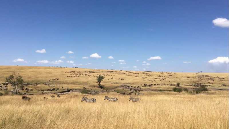 Kenyan Adventure: The Wild Is Calling