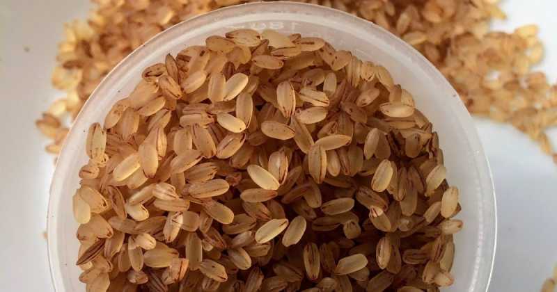 Kerala Matta Rice In Instant Pot