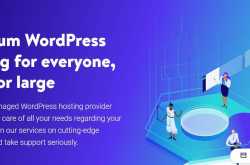 Kinsta Hosting Review - High Performance WordPress Hosting