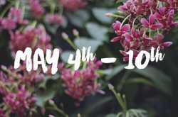 LIFE LATELY | Puppies, Movies and Awesome Mothers