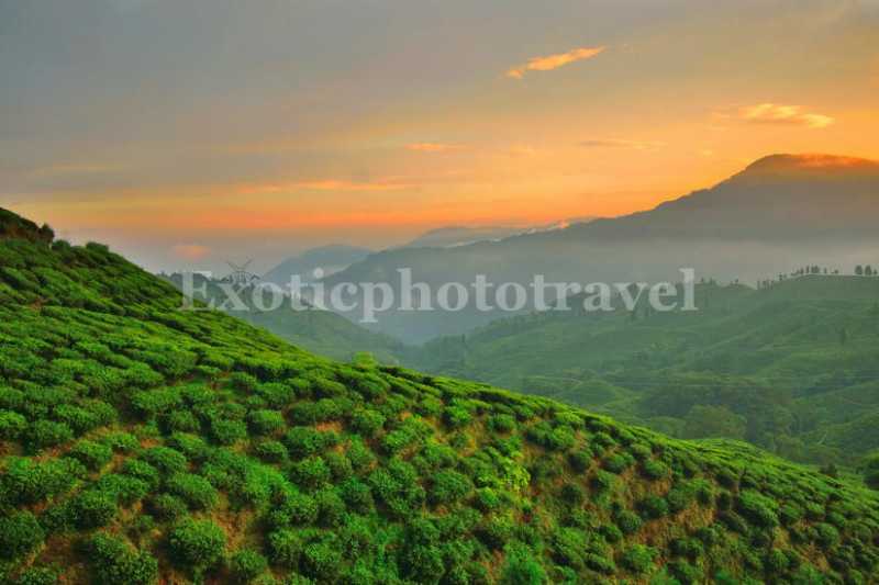 Landscape Photography And Sightseeing Tour Around Mirik, Darjeeling