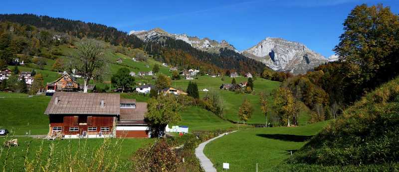 Language Of Mathematics And Science Of Language - Makeup & Breakup