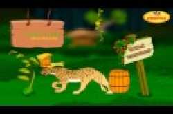 Learn || Domestic & Wild Animals || with Animation