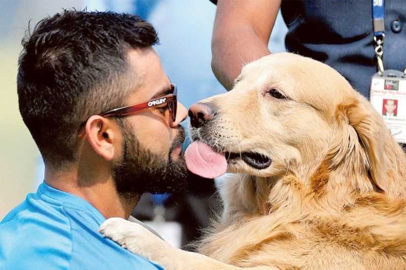 License To Love? MCG Makes Pet License In Gurgaon, Mandatory!