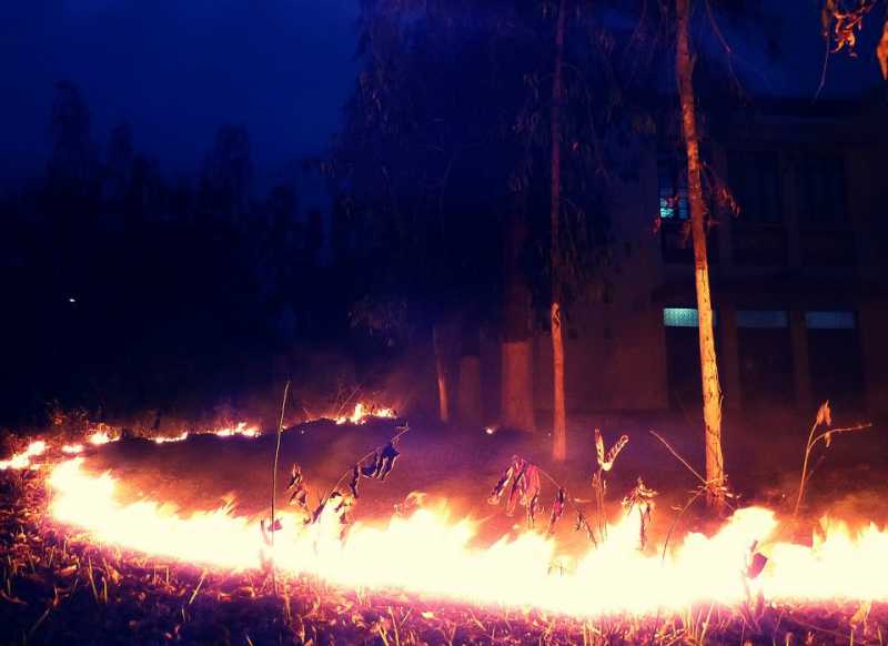 Light The Fire In Your Soul