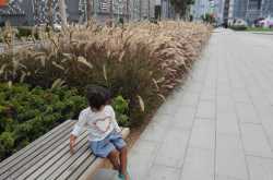 Local Attraction Review: Green Planet