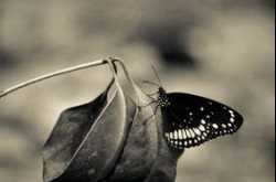 Love... Loneliness... Shame & Sorrow